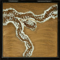 project Oergrond 2013. PROJECT for the WATERBOARD