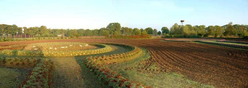 aanleg van het grondwerk, zonder de beelden